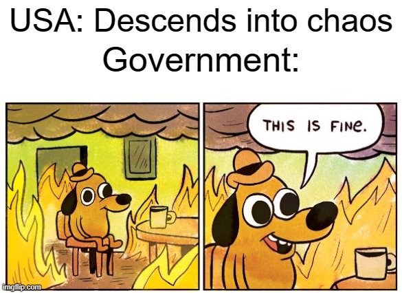 ThIs iS fINe. | Government:; USA: Descends into chaos | image tagged in memes,this is fine,chaos,2020,government | made w/ Imgflip meme maker