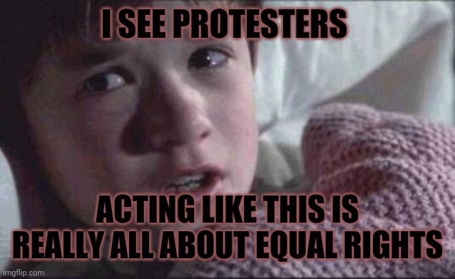 I See Dead People Meme | I SEE PROTESTERS; ACTING LIKE THIS IS REALLY ALL ABOUT EQUAL RIGHTS | image tagged in memes,i see dead people | made w/ Imgflip meme maker