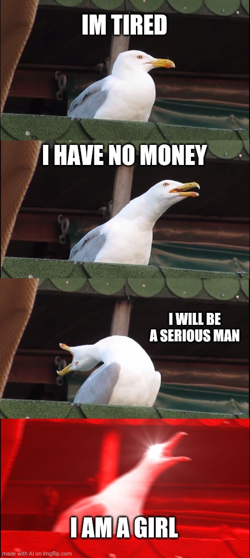 Inhaling Seagull | IM TIRED; I HAVE NO MONEY; I WILL BE A SERIOUS MAN; I AM A GIRL | image tagged in memes,inhaling seagull | made w/ Imgflip meme maker
