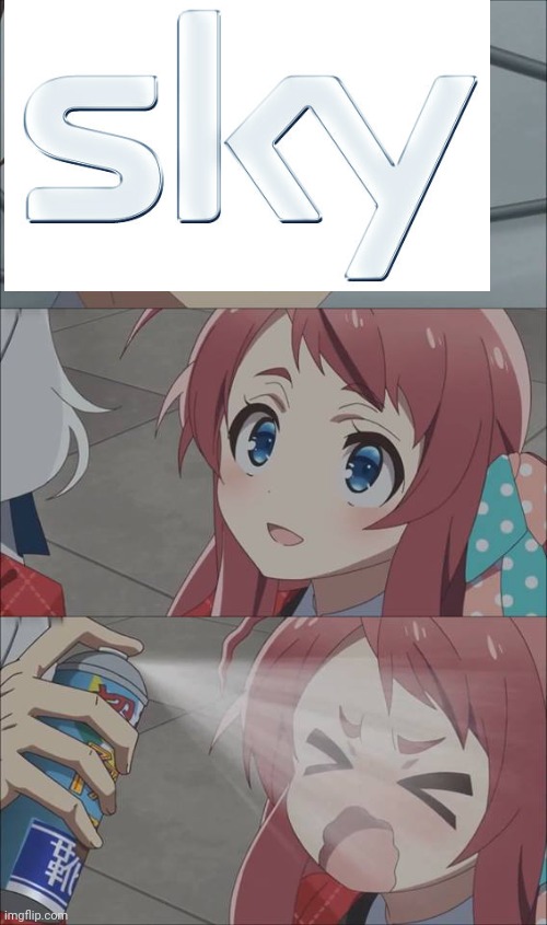 sky v anime | image tagged in anime spray | made w/ Imgflip meme maker