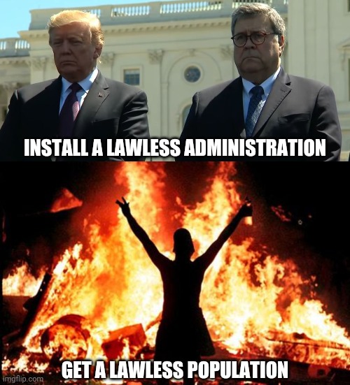 The fish RIOTS from the head down | INSTALL A LAWLESS ADMINISTRATION; GET A LAWLESS POPULATION | image tagged in looters,arson,fascism,donald trump thug life,police brutality,trump russia collusion | made w/ Imgflip meme maker
