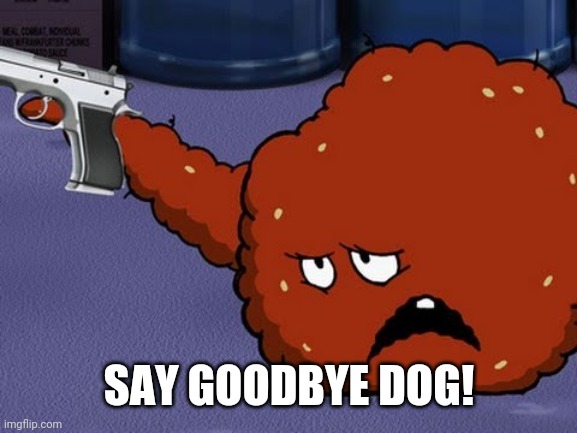 Meatwad with a gun | SAY GOODBYE DOG! | image tagged in meatwad with a gun | made w/ Imgflip meme maker