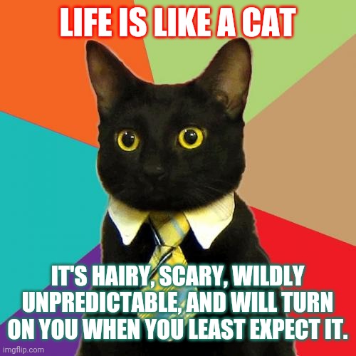 Business Cat | LIFE IS LIKE A CAT; IT'S HAIRY, SCARY, WILDLY UNPREDICTABLE, AND WILL TURN ON YOU WHEN YOU LEAST EXPECT IT. | image tagged in memes,business cat | made w/ Imgflip meme maker