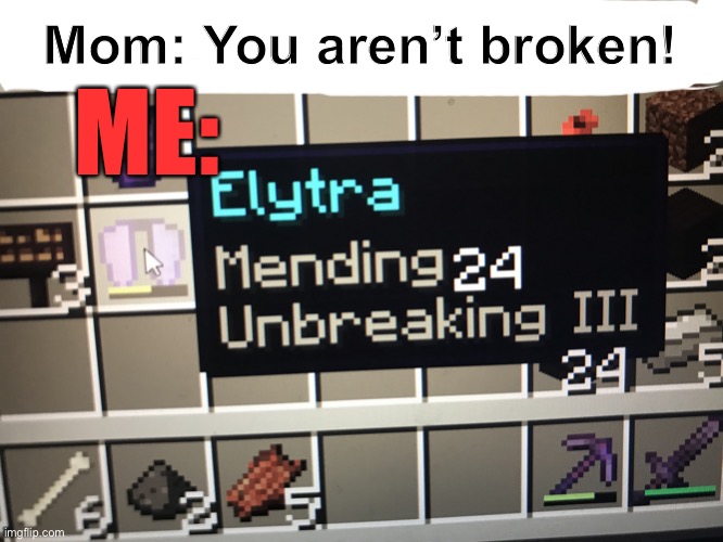 Mending 24 Elytra | Mom: You aren’t broken! ME: | image tagged in mending 24 elytra | made w/ Imgflip meme maker