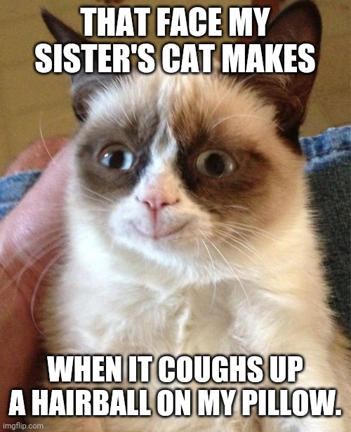 Grumpy Cat Happy | THAT FACE MY SISTER'S CAT MAKES; WHEN IT COUGHS UP A HAIRBALL ON MY PILLOW. | image tagged in memes,grumpy cat happy,grumpy cat | made w/ Imgflip meme maker
