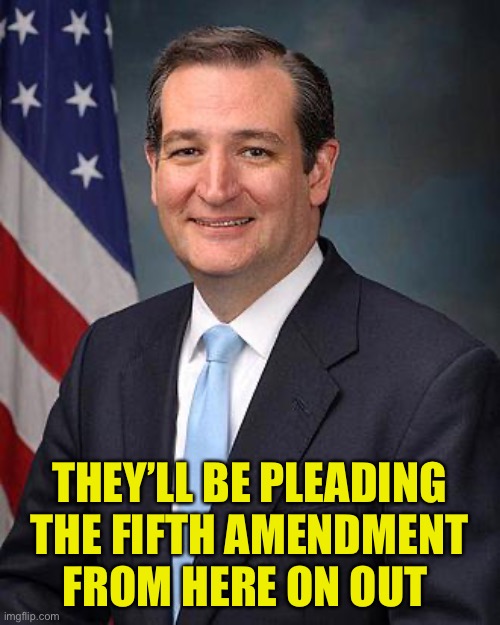Ted Cruz | THEY’LL BE PLEADING THE FIFTH AMENDMENT FROM HERE ON OUT | image tagged in ted cruz | made w/ Imgflip meme maker