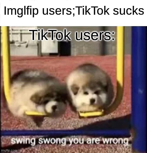 SWING SWONG YOU ARE WRONG | Imglfip users;TikTok sucks; TikTok users: | image tagged in swing swong you are wrong | made w/ Imgflip meme maker