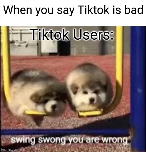 SWING SWONG YOU ARE WRONG | When you say Tiktok is bad; Tiktok Users: | image tagged in swing swong you are wrong | made w/ Imgflip meme maker