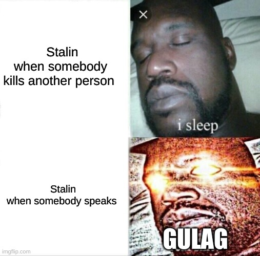 Sleeping Shaq Meme | Stalin when somebody kills another person; Stalin when somebody speaks; GULAG | image tagged in memes,sleeping shaq | made w/ Imgflip meme maker