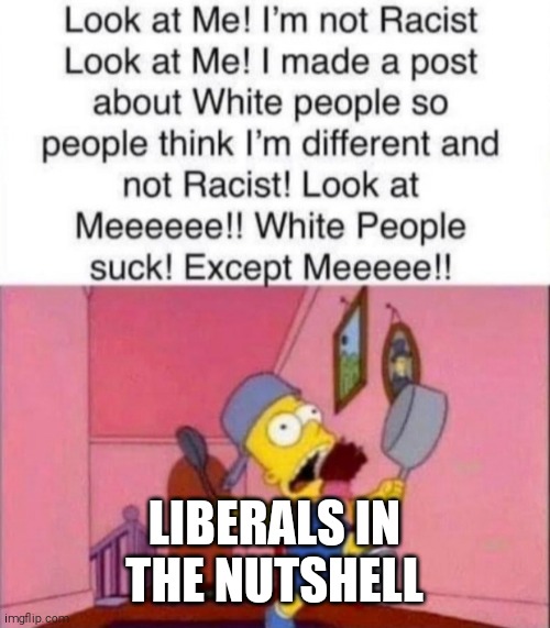 Well, this isnt helping | LIBERALS IN THE NUTSHELL | image tagged in look at me,liberals,racism | made w/ Imgflip meme maker