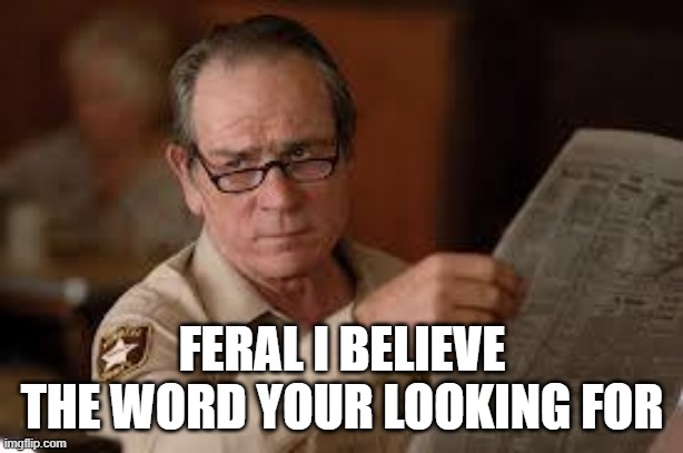 no country for old men tommy lee jones | FERAL I BELIEVE THE WORD YOUR LOOKING FOR | image tagged in no country for old men tommy lee jones | made w/ Imgflip meme maker