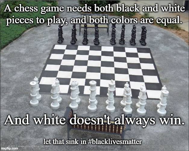 #blacklivesmatter |  A chess game needs both black and white pieces to play, and both colors are equal. And white doesn't always win. let that sink in #blacklivesmatter | image tagged in chess set,black lives matter,white supremacists,not racist,racist | made w/ Imgflip meme maker