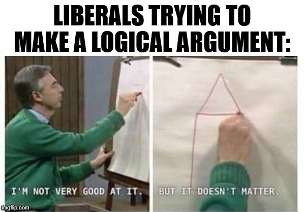 I'm Not Very Good At It But It Doesn't Matter Mr Rogers | LIBERALS TRYING TO MAKE A LOGICAL ARGUMENT: | image tagged in i'm not very good at it but it doesn't matter mr rogers | made w/ Imgflip meme maker