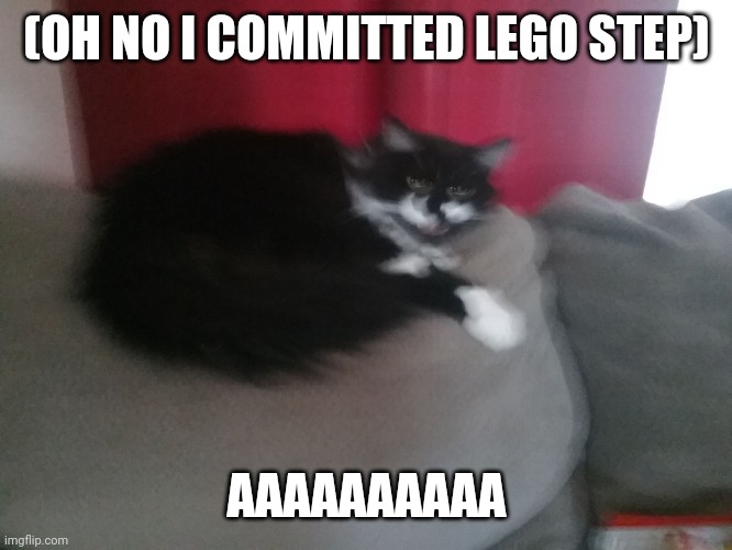 Follow Chez_Boi and Plagueboi93 | (OH NO I COMMITTED LEGO STEP); AAAAAAAAAA | image tagged in angery cat | made w/ Imgflip meme maker
