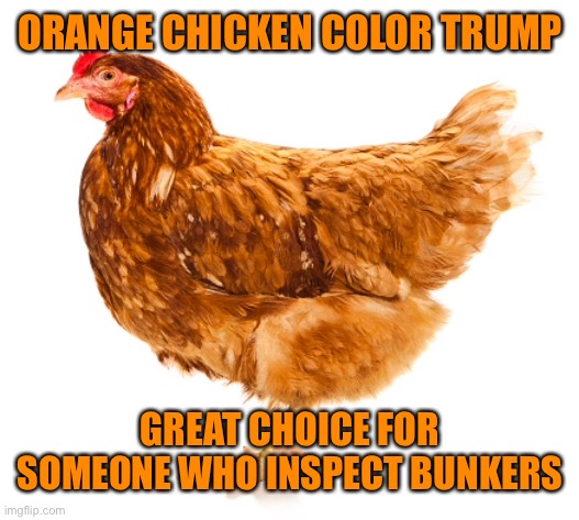 ORANGE CHICKEN COLOR TRUMP GREAT CHOICE FOR SOMEONE WHO INSPECT BUNKERS | made w/ Imgflip meme maker
