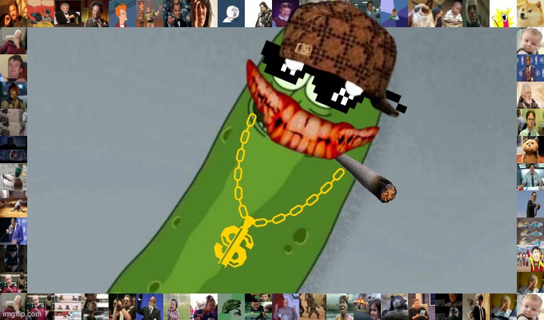 new imgflip user pickle rick | image tagged in pickle rick,new user | made w/ Imgflip meme maker