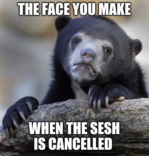 Confession Bear | THE FACE YOU MAKE; WHEN THE SESH IS CANCELLED | image tagged in memes,confession bear,sesh | made w/ Imgflip meme maker