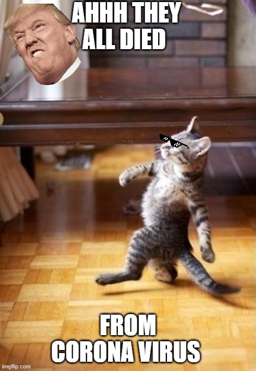 Cool Cat Stroll | AHHH THEY ALL DIED; FROM CORONA VIRUS | image tagged in memes,cool cat stroll | made w/ Imgflip meme maker