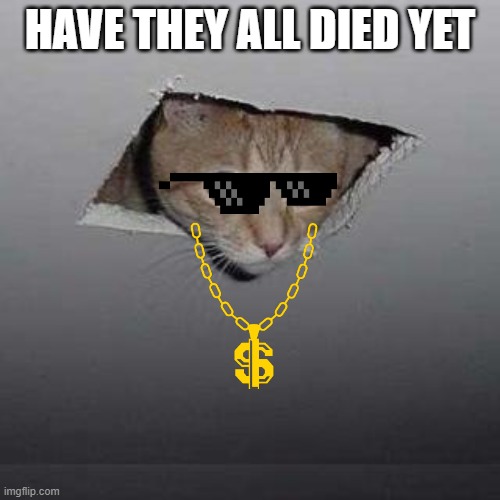 Ceiling Cat | HAVE THEY ALL DIED YET | image tagged in memes,ceiling cat | made w/ Imgflip meme maker