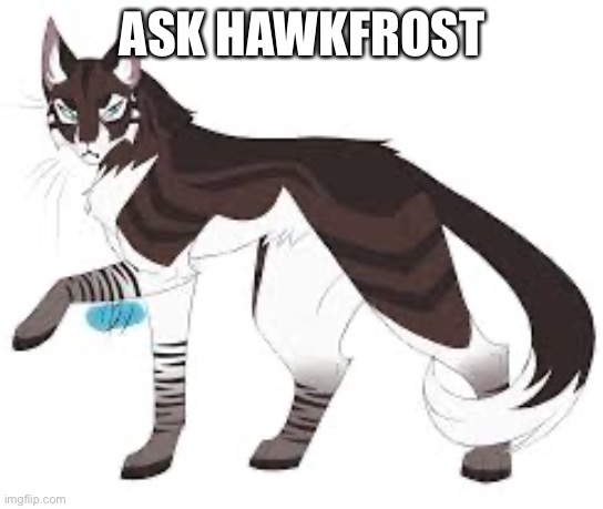Ask Hawkfrost | ASK HAWKFROST | made w/ Imgflip meme maker