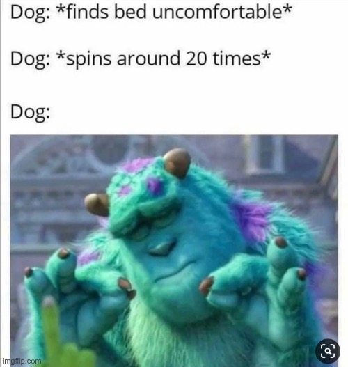 I feel like all dogs do this: | image tagged in monsters inc,dogs | made w/ Imgflip meme maker