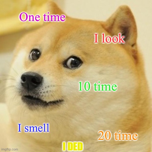 Doge Meme | One time I look 10 time I smell 20 time I DED | image tagged in memes,doge | made w/ Imgflip meme maker