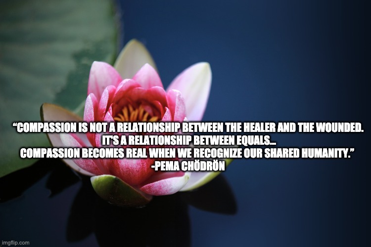 Lotus | “COMPASSION IS NOT A RELATIONSHIP BETWEEN THE HEALER AND THE WOUNDED. 

IT'S A RELATIONSHIP BETWEEN EQUALS…

COMPASSION BECOMES REAL WHEN WE RECOGNIZE OUR SHARED HUMANITY.”  

-PEMA CHÖDRÖN | image tagged in lotus | made w/ Imgflip meme maker