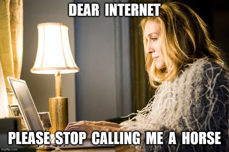 Sarah jessica parker | DEAR  INTERNET PLEASE  STOP  CALLING  ME  A  HORSE | image tagged in sarah jessica parker | made w/ Imgflip meme maker