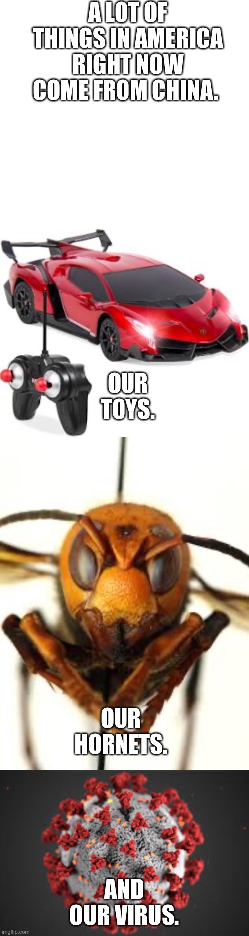 A LOT OF THINGS IN AMERICA RIGHT NOW COME FROM CHINA. OUR TOYS. OUR HORNETS. AND OUR VIRUS. | image tagged in politics,china,murder hornet,coronavirus,covid19 | made w/ Imgflip meme maker