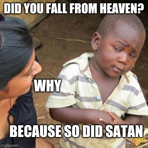 Carted memes | DID YOU FALL FROM HEAVEN? WHY; BECAUSE SO DID SATAN | image tagged in memes,third world skeptical kid | made w/ Imgflip meme maker