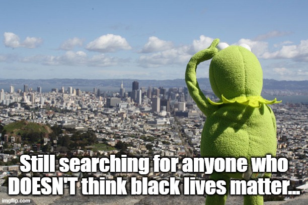 Coming up blank | Still searching for anyone who DOESN'T think black lives matter... | image tagged in kermit searching | made w/ Imgflip meme maker