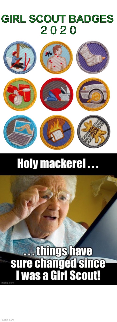 Girl Scout Badges (parodied for your entertainment) | GIRL SCOUT BADGES; 2 0 2 0 | image tagged in funny memes,old lady at computer | made w/ Imgflip meme maker