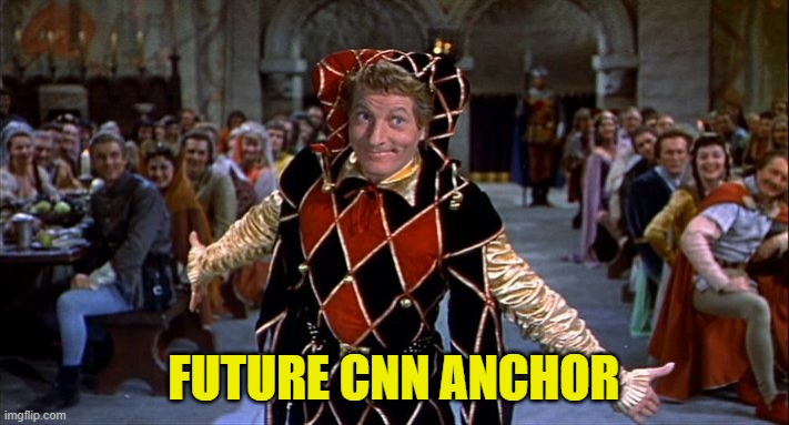 CNN anchors are court jesters | FUTURE CNN ANCHOR | image tagged in court jester,future cnn anchor,msm,cnn,talking head,news clown | made w/ Imgflip meme maker