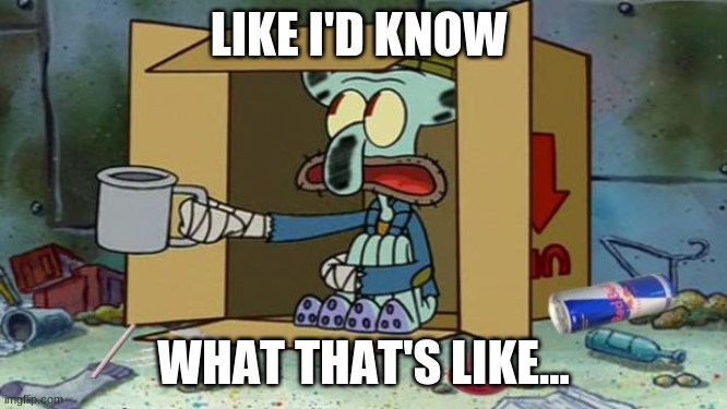 squidward poor | LIKE I'D KNOW WHAT THAT'S LIKE... | image tagged in squidward poor | made w/ Imgflip meme maker