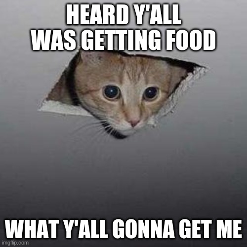 Ceiling Cat | HEARD Y'ALL WAS GETTING FOOD; WHAT Y'ALL GONNA GET ME | image tagged in memes,ceiling cat | made w/ Imgflip meme maker