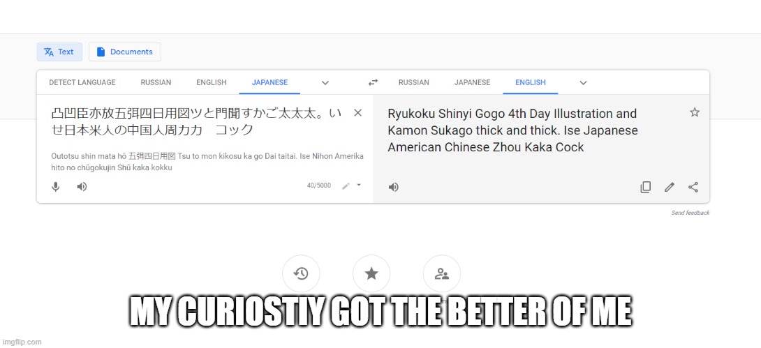 Me doing random shit | MY CURIOSTIY GOT THE BETTER OF ME | image tagged in google translate,curiosity,japanese to english,memes,funny,dastarminers awesome memes | made w/ Imgflip meme maker