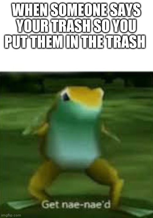 Get nae nae'd | WHEN SOMEONE SAYS YOUR TRASH SO YOU PUT THEM IN THE TRASH | image tagged in get nae nae'd | made w/ Imgflip meme maker