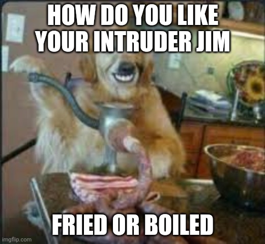 MEAT DOG | HOW DO YOU LIKE YOUR INTRUDER JIM; FRIED OR BOILED | image tagged in meat dog | made w/ Imgflip meme maker