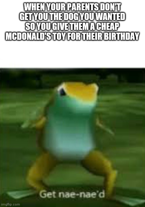 Get nae nae'd | WHEN YOUR PARENTS DON'T GET YOU THE DOG YOU WANTED SO YOU GIVE THEM A CHEAP MCDONALD'S TOY FOR THEIR BIRTHDAY | image tagged in get nae nae'd | made w/ Imgflip meme maker