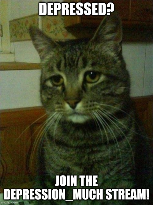 depression_much! | DEPRESSED? JOIN THE DEPRESSION_MUCH STREAM! | image tagged in memes,depressed cat,depression,depression much,cat,stream | made w/ Imgflip meme maker