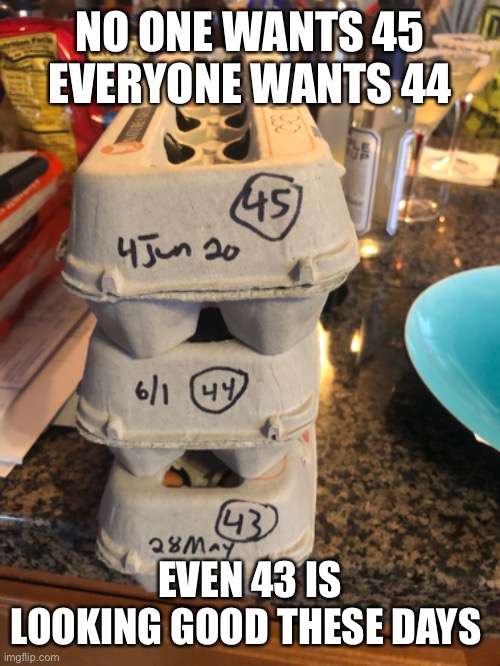 Eggs | NO ONE WANTS 45
EVERYONE WANTS 44; EVEN 43 IS LOOKING GOOD THESE DAYS | image tagged in potus,eggs,obama,george bush,trump | made w/ Imgflip meme maker