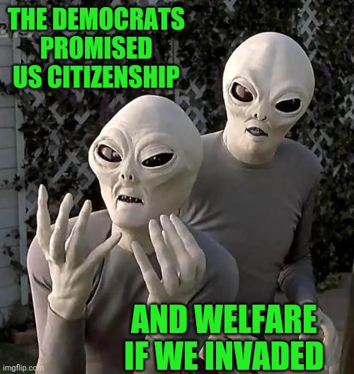 Aliens | THE DEMOCRATS PROMISED US CITIZENSHIP AND WELFARE IF WE INVADED | image tagged in aliens | made w/ Imgflip meme maker