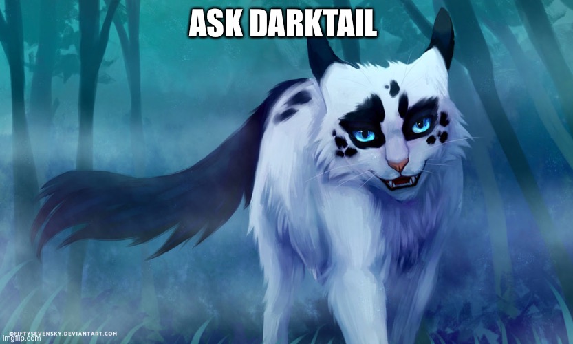 Ask Darktail (sorry about the typo on the 1st one!) | ASK DARKTAIL | made w/ Imgflip meme maker