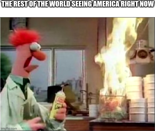 A meme from 2020 | THE REST OF THE WORLD SEEING AMERICA RIGHT NOW | image tagged in muppet | made w/ Imgflip meme maker