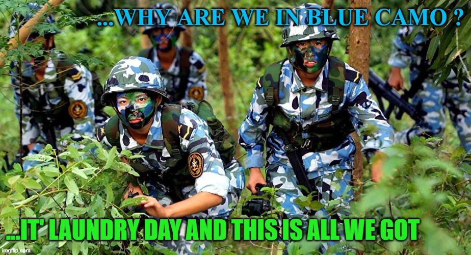 laundry day | ...WHY ARE WE IN BLUE CAMO ? ...IT' LAUNDRY DAY AND THIS IS ALL WE GOT | image tagged in wrong camo | made w/ Imgflip meme maker