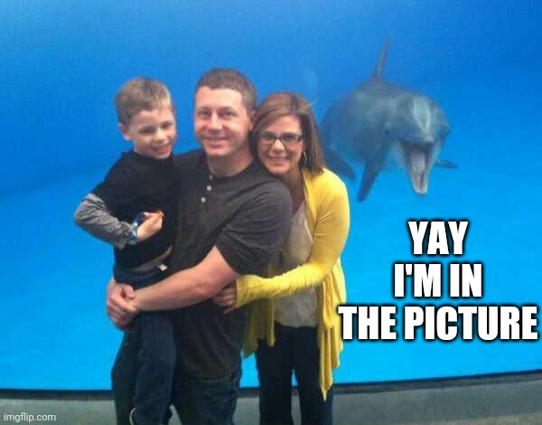 DOLPHIN PHOTO BOMB | YAY I'M IN THE PICTURE | image tagged in photobombs,dolphin | made w/ Imgflip meme maker