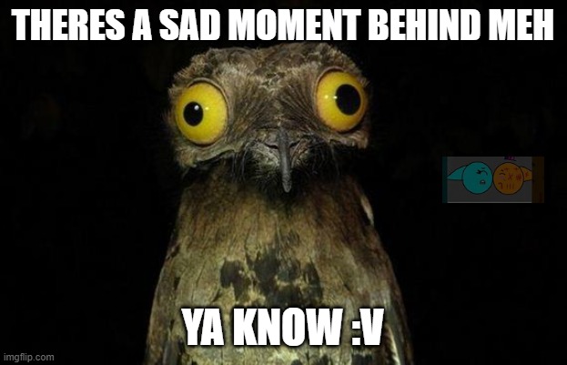 oh boi | THERES A SAD MOMENT BEHIND MEH; YA KNOW :V | image tagged in memes,weird stuff i do potoo | made w/ Imgflip meme maker