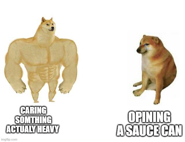 th truth | OPINING A SAUCE CAN; CARING SOMTHING ACTUALY HEAVY | image tagged in strong doge weak doge | made w/ Imgflip meme maker