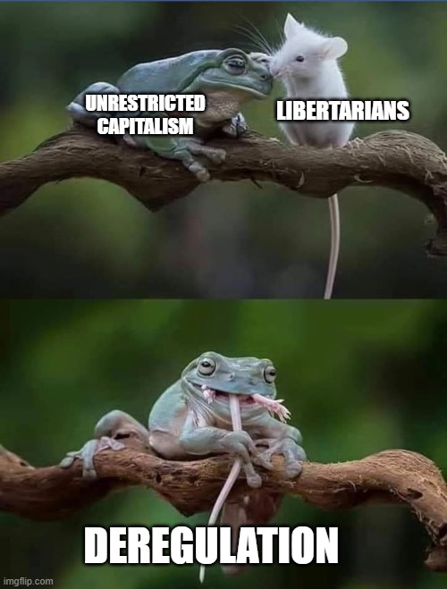 UNRESTRICTED CAPITALISM; LIBERTARIANS; DEREGULATION | image tagged in libertarian | made w/ Imgflip meme maker