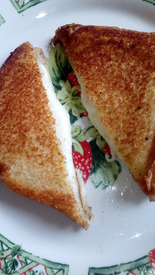 Grilled Cheese (I used mozzarella cheese as you can see in the picture) | made w/ Imgflip meme maker